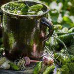 Leavened Cucumber The Great Wonder Of The Hungarian Cuisine Daily