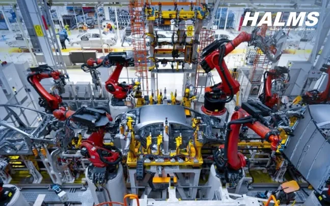 Halms Hungary Chinese Supplier E