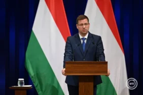 Hungarian Government X