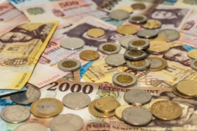 Hungary Introduces New Strange Shaped Forint Coins X