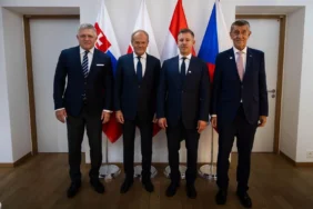 Visegrad Group Coopeartion X