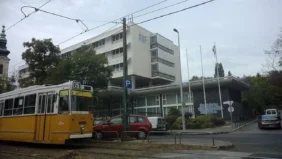 AVFBuilding X