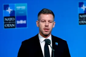 Peter Magyar At The NATO Summit X