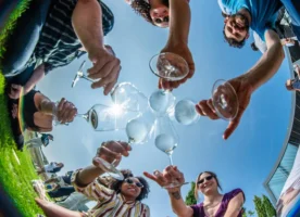 Magyar Bor Hungarian Wine X