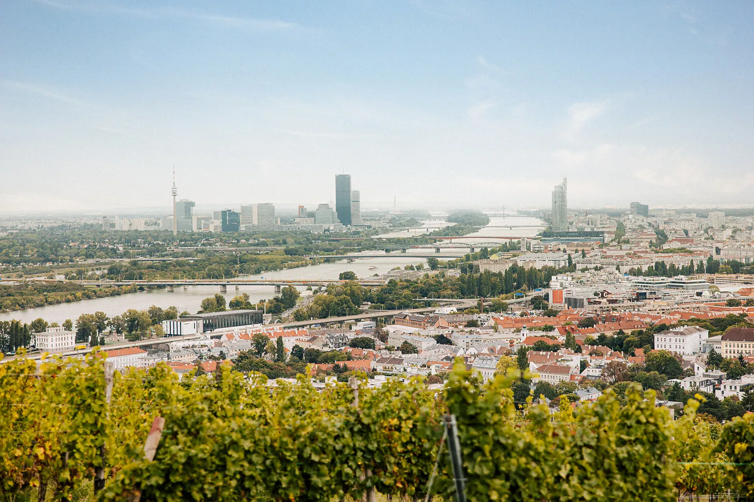 Vienna Skyline From Nussberg C Paul Bauer