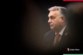 Organisation Antifa Orban Government X