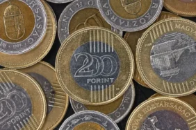 Astonishing New Forint Coins X