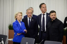 Zelensky X
