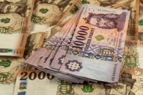 Forint Euro Exchange Currency X