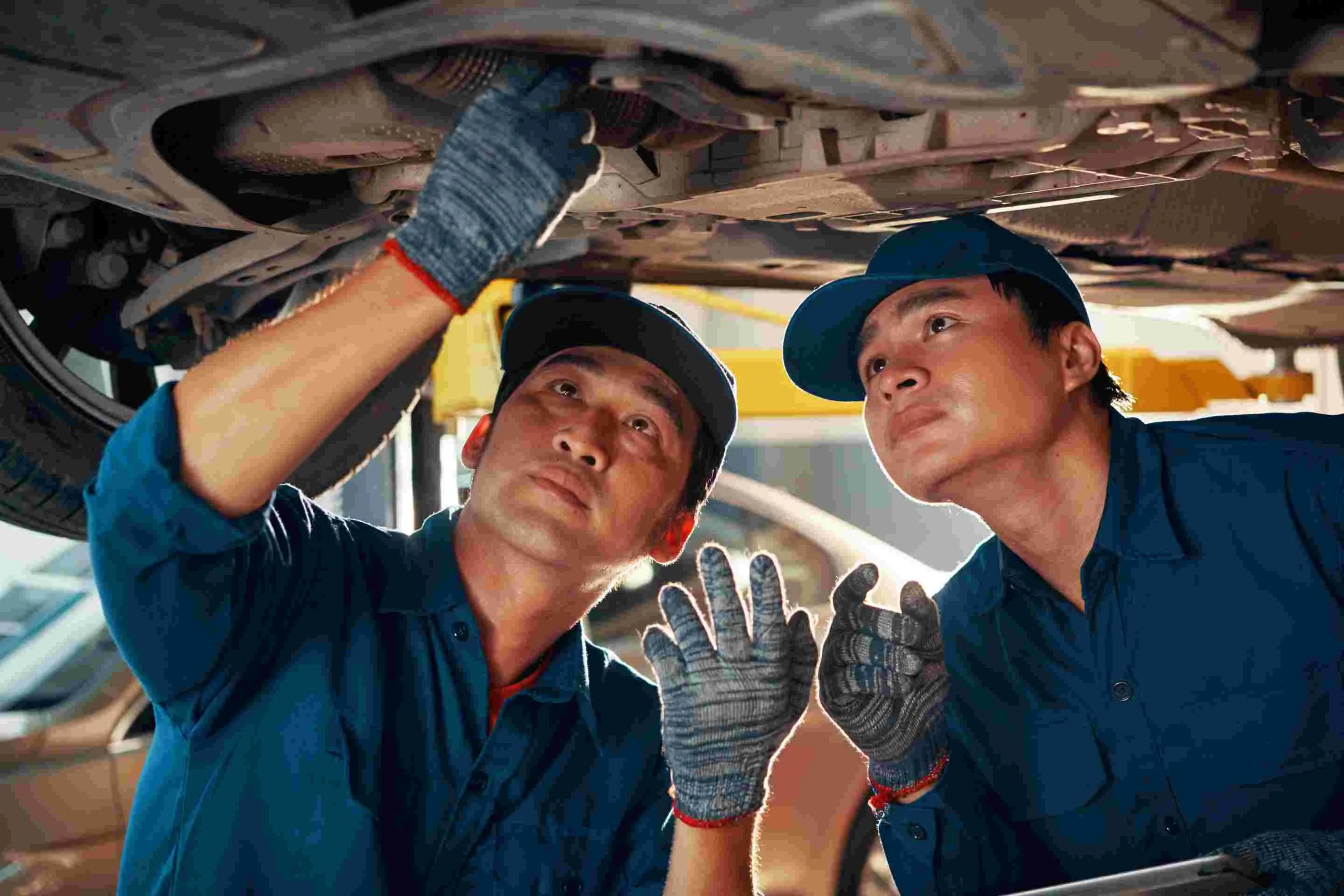 Asian Guest Worker Hungary