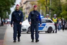 Hungarian Police X