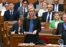Marta Gorog Justice Minister X