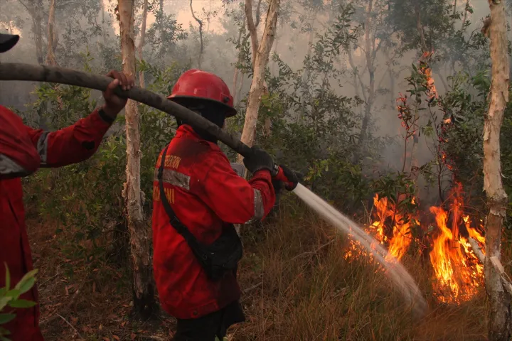 Hungarian Firefighters Helping In Serbia Illustration