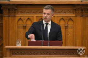 Peter Magyar Parliament X