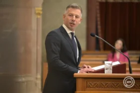 Peter Magyar Parliament X