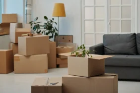 Moving Boxes Office Home X