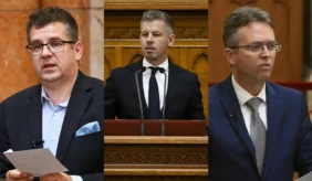 Sesztak Magyar Hanko Mentelmi Jog X