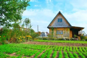 Zartkert Property Real Estate Plot X