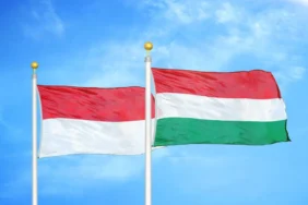 Hungary Indonesia Flags X