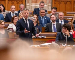 Peter Magyar In Parliament X
