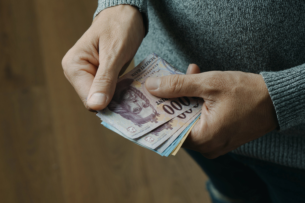 Hungarian Government Economic Programs Election Distribution