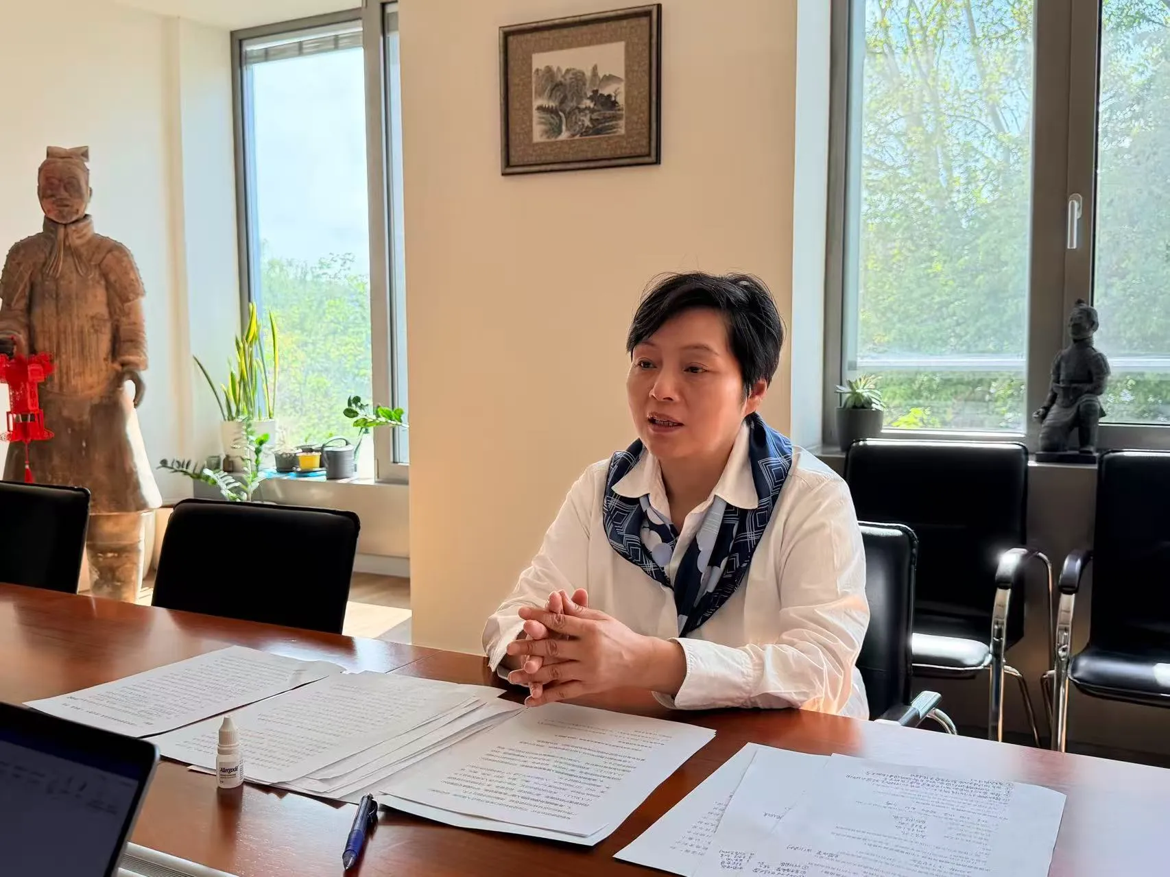 Li Huixin Director Of China National Tourist Office In Budapest