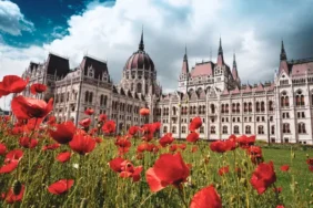 Budapest In May X