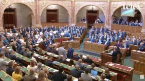 Magyar Gulyas Parliament X