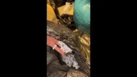 Peter Magyar Lazar Former Minister Building Shredded Documents X