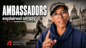Ambassadors X
