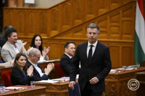 Peter Magyar Parliament X