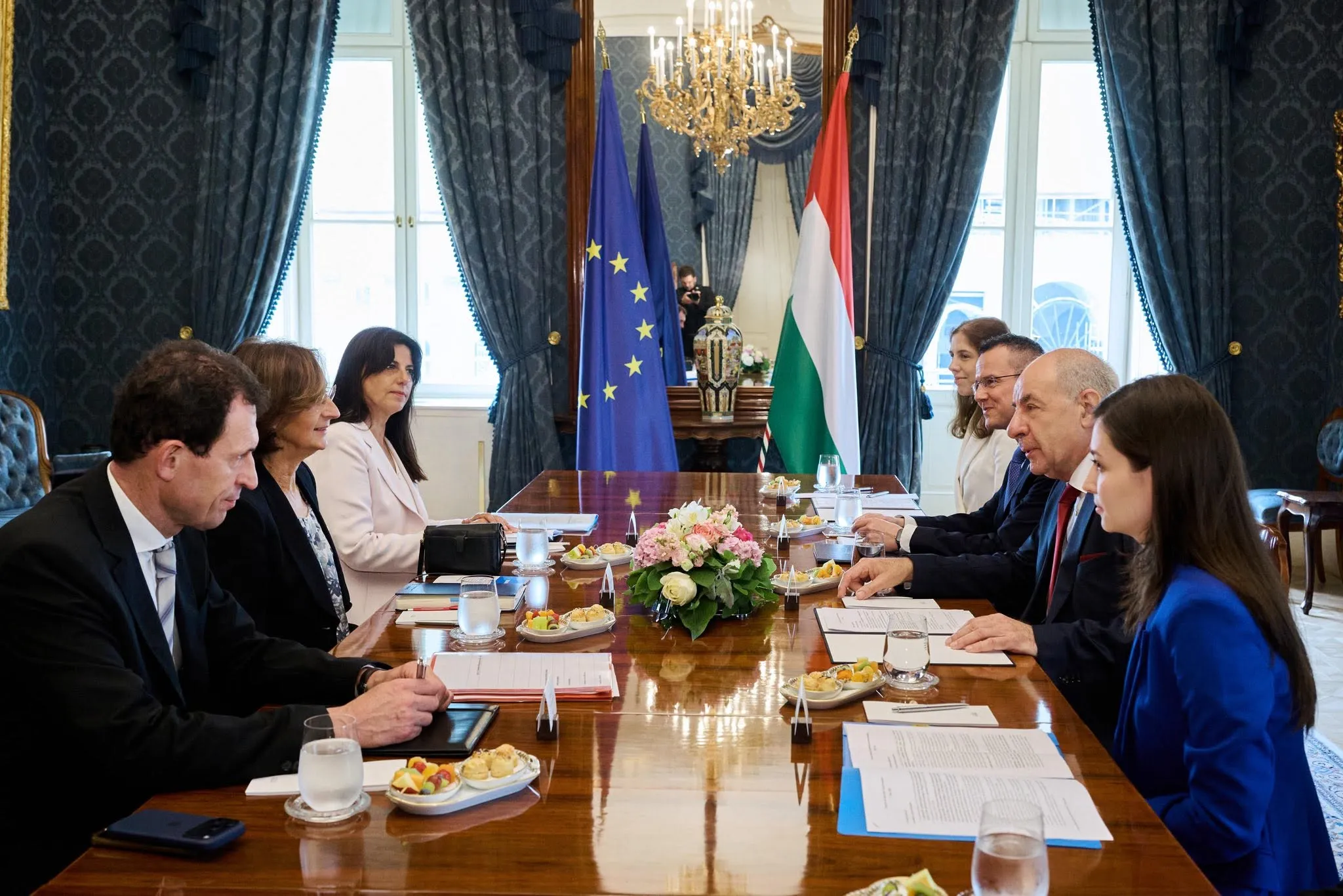 Venice Commission President Sulyok