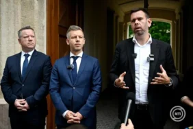 Posfai Magyar Vitezy X