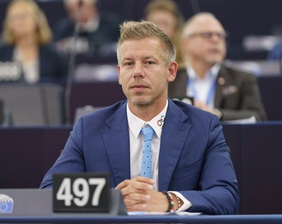 Peter Magyar In The European Parliament