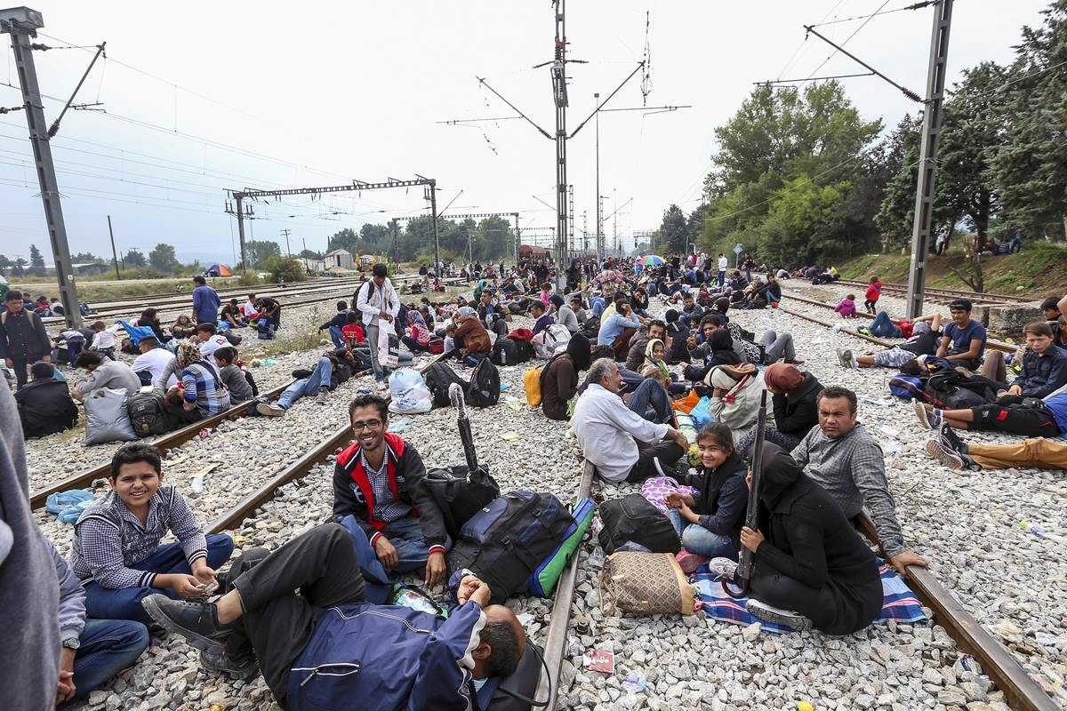 Migration Migrants