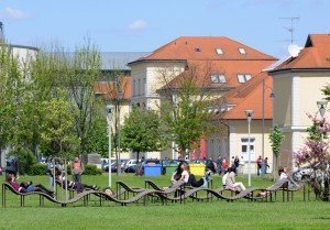 2_Kassai camp Zöld hullám3