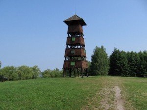 7107115_c3c374e9f4633148278641a812079a8a_wm