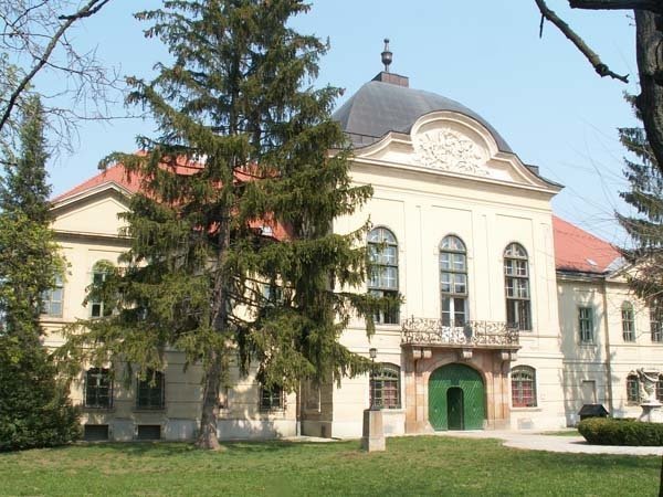 KONICA MINOLTA DIGITAL CAMERA