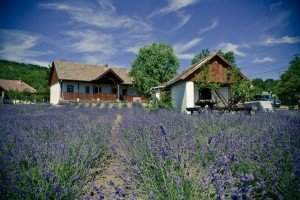 romantic, alsópetény