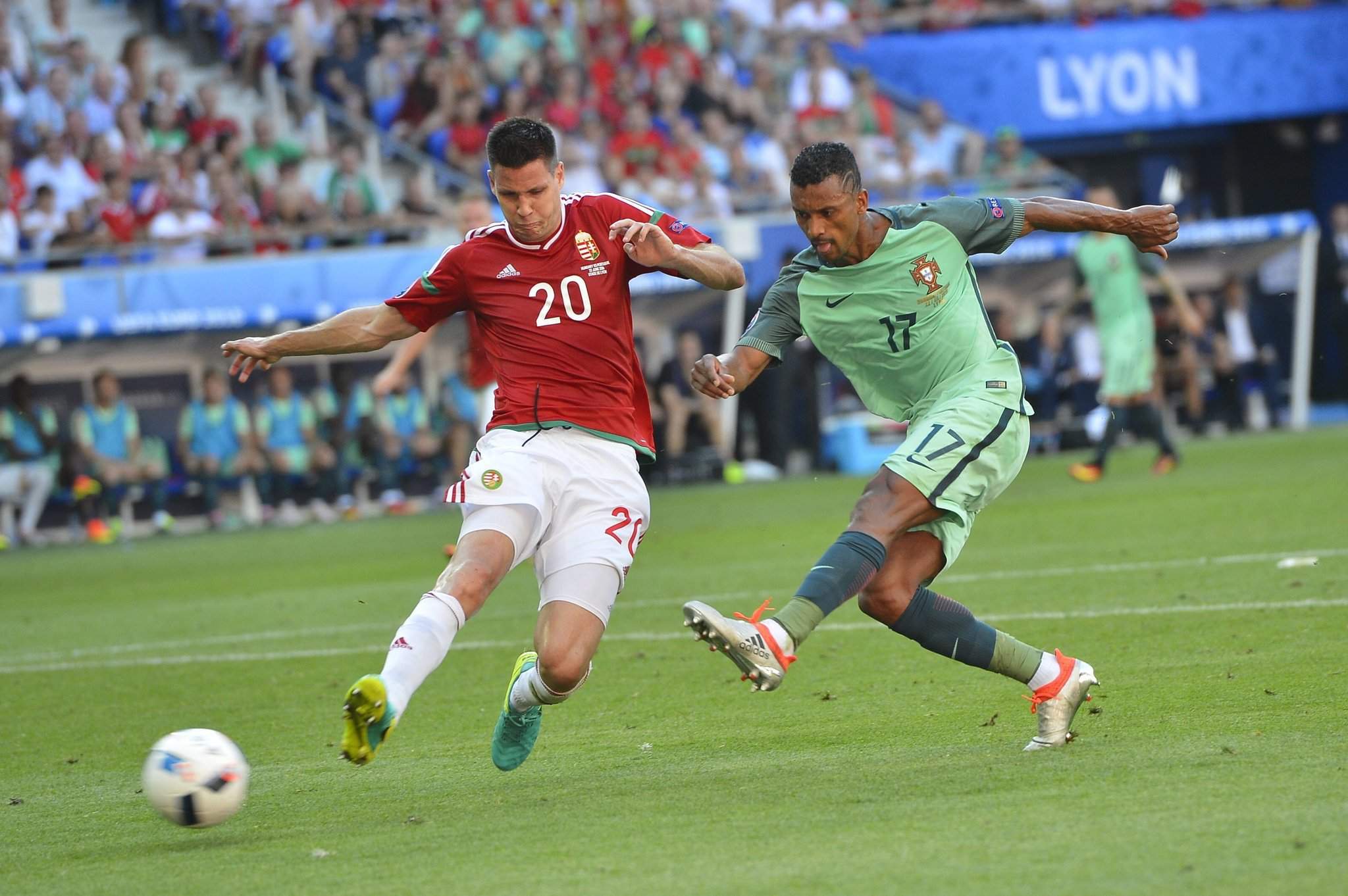 Euro 2016 Magyarorszag Portugalia Daily News Hungary