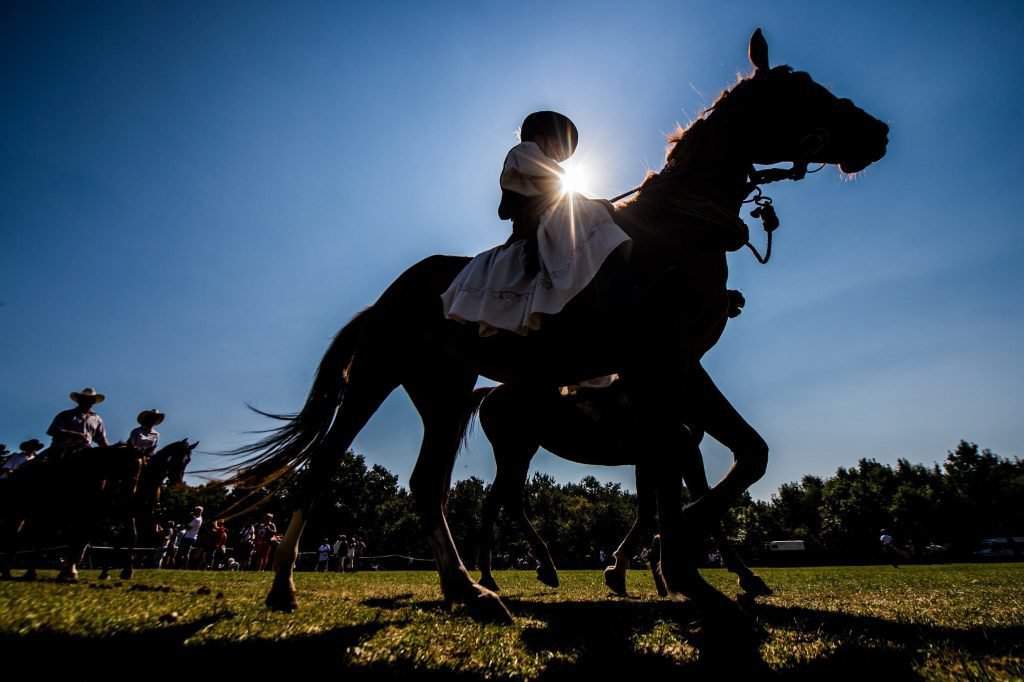 Equestrian festival in Kiskunfélegyháza