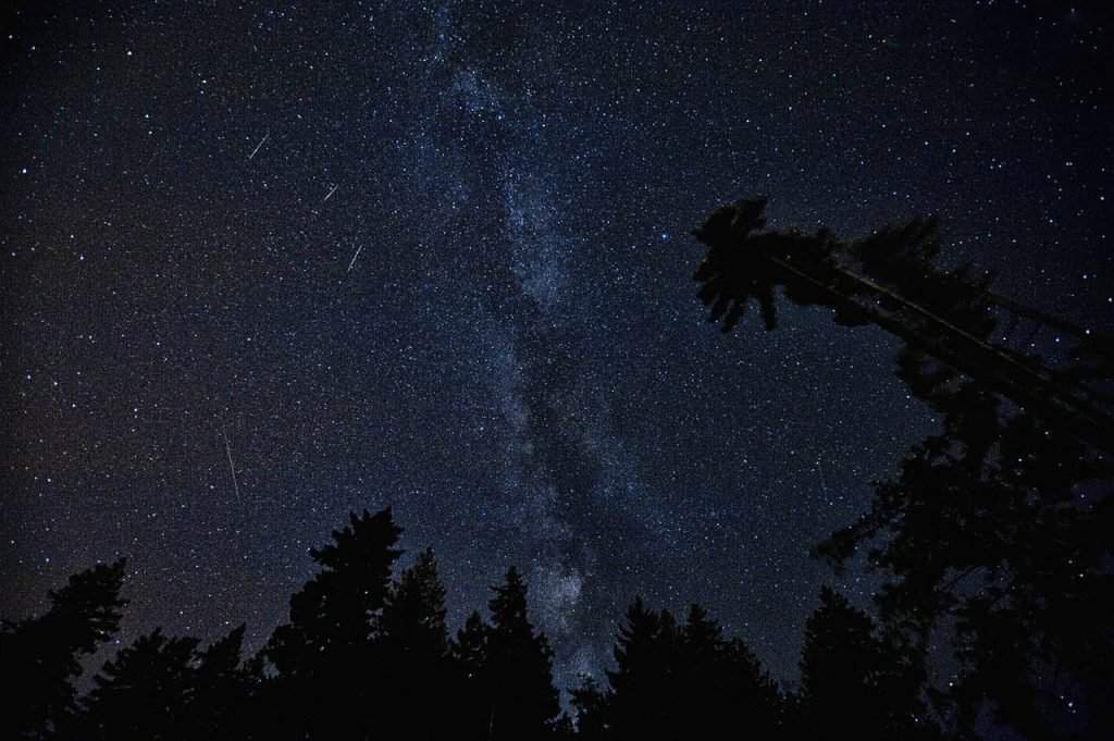 perseids-meteor-stars-sky