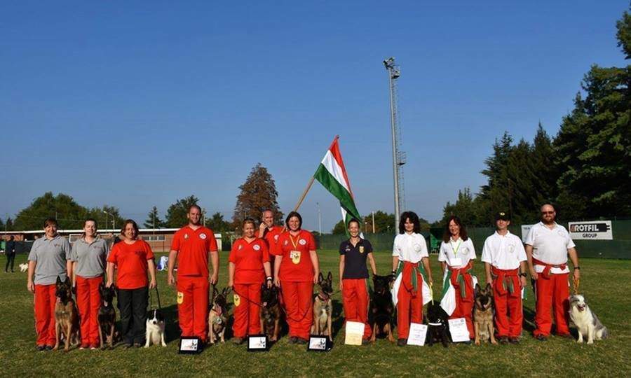 rescue-dog-world-championships-mentokutya-magyar-csapat
