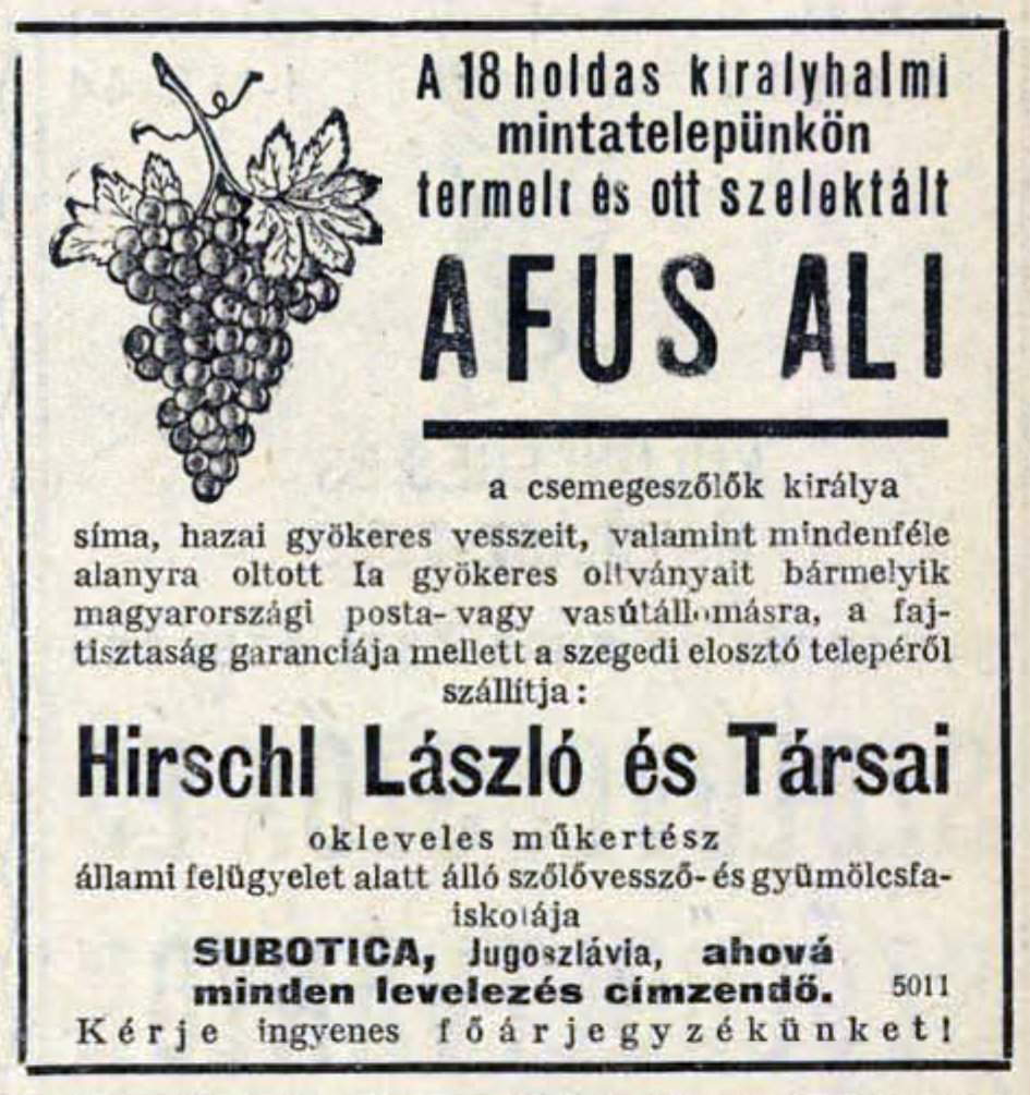 László Hirschl gardener's ad in a Hungarian Newspaper