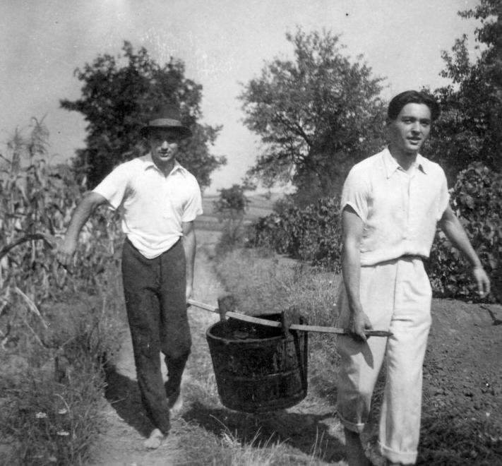 Gathering the fresh grapes into a tub. Tabajd, Fejér County, Hungary. (1937) Source: fortepan.hu (27356, Mészöly Leonóra)