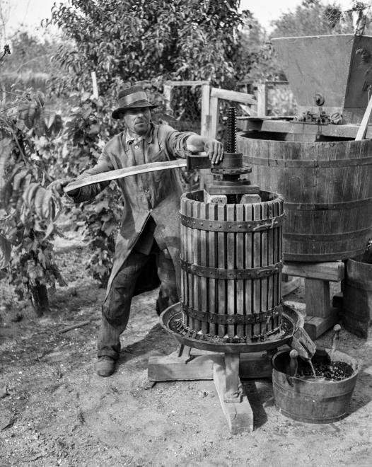 Wine-press, grinder, tub... Source: fortepan.hu (72538, Lissák Tivadar)