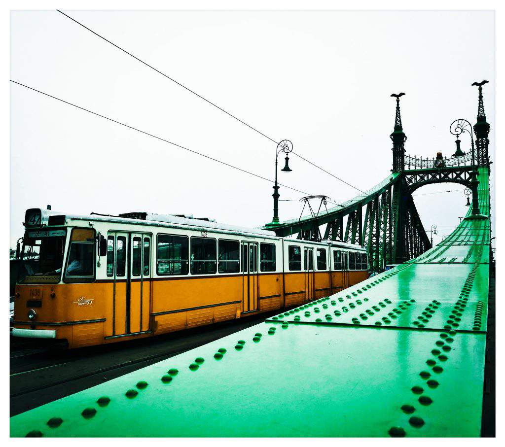 KelemenBálintFotó4