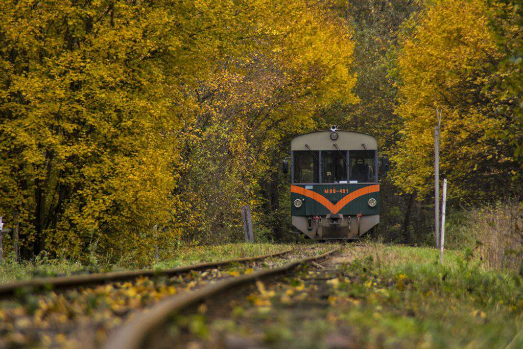 királyrét forest railway