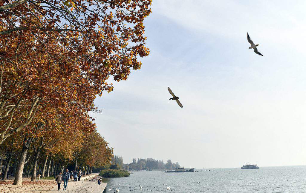 ősz balatonfüred mti