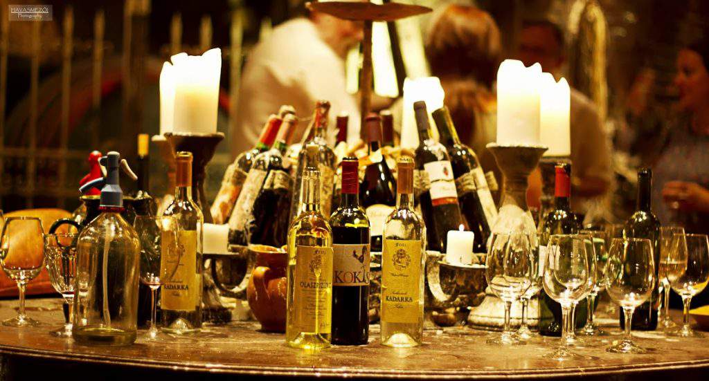 Fritz Borház és Panzió Pince 07 wine